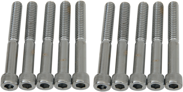 DRAG SPECIALTIES Bolts - Socket-Head - Knurled - 1/4-20 x 2" MPB185 - Cycle City Outdoors
