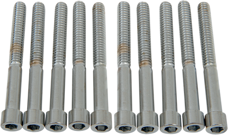 DRAG SPECIALTIES Bolts - Socket-Head - Smooth - 1/4-20 x 2-1/4" MPB186S - Cycle City Outdoors