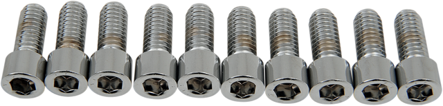DRAG SPECIALTIES Bolts - Socket-Head - Smooth - 5/16-18 x 3/4" MPB215S - Cycle City Outdoors