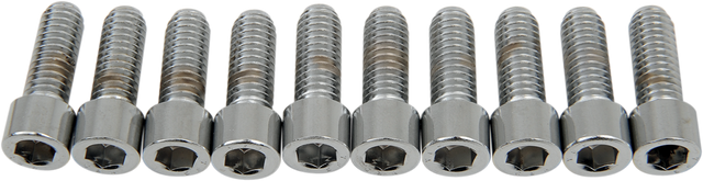 DRAG SPECIALTIES Bolts - Socket-Head - Smooth - 5/16-18 x 7/8" MPB216S - Cycle City Outdoors