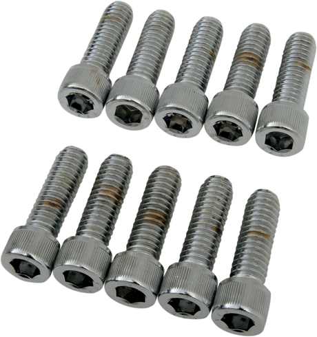 DRAG SPECIALTIES Bolts - Socket-Head - Knurled - 5/16-18 x 1" MPB217 - Cycle City Outdoors