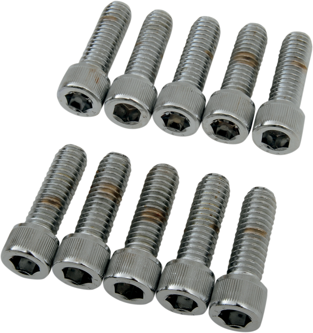 DRAG SPECIALTIES Bolts - Socket-Head - Knurled - 5/16-18 x 1" MPB217 - Cycle City Outdoors