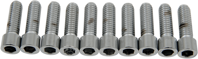 DRAG SPECIALTIES Bolts - Socket-Head - Smooth - 5/16-18 x 1" MPB217S - Cycle City Outdoors