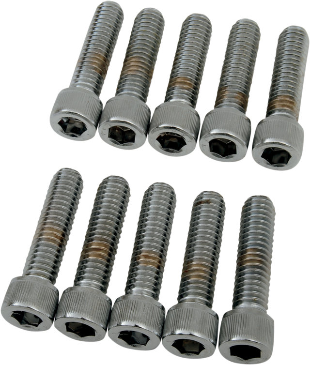 DRAG SPECIALTIES Bolts - Socket-Head - Knurled - 5/16-18 x 1-1/4" MPB218 - Cycle City Outdoors