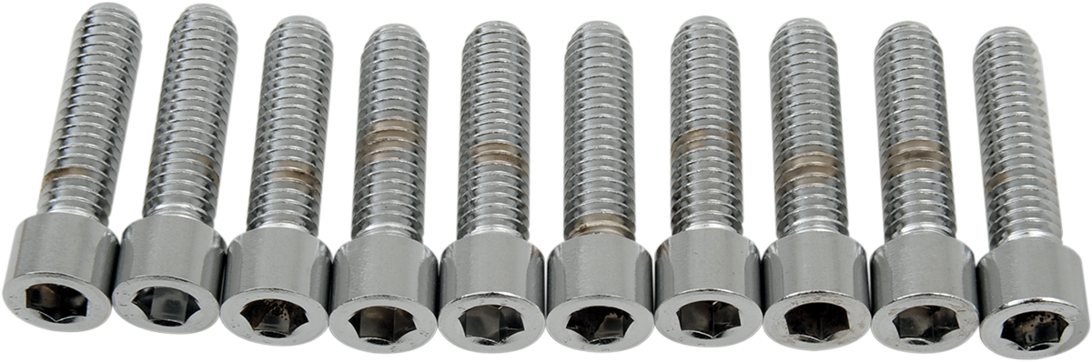 DRAG SPECIALTIES Bolts - Socket-Head - Smooth - 5/16-18 x 1-1/4" MPB218S - Cycle City Outdoors