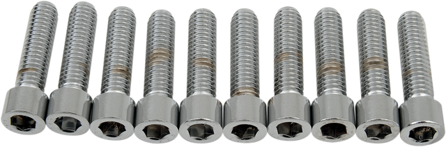 DRAG SPECIALTIES Bolts - Socket-Head - Smooth - 5/16-18 x 1-1/4" MPB218S - Cycle City Outdoors