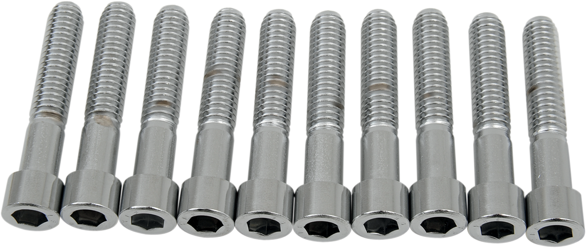 DRAG SPECIALTIES Bolts - Socket-Head - Smooth - 5/16-18 x 1-3/4" MPB220S - Cycle City Outdoors