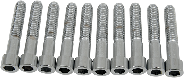 DRAG SPECIALTIES Bolts - Socket-Head - Smooth - 5/16-18 x 1-3/4" MPB220S - Cycle City Outdoors