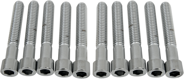 DRAG SPECIALTIES Bolts - Socket-Head - Smooth - 5/16-18 x 2" MPB221S - Cycle City Outdoors