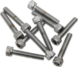 DRAG SPECIALTIES Bolts - Socket-Head - Replacement - Knurled/Coarse Thread - #10-24 x 1-1/4" - 10 Pack MPB196 - Cycle City Outdoors
