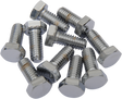 DRAG SPECIALTIES Bolts - Hex-Head - Chrome - 5/16"-18 x 5/8" MPB122 - Cycle City Outdoors
