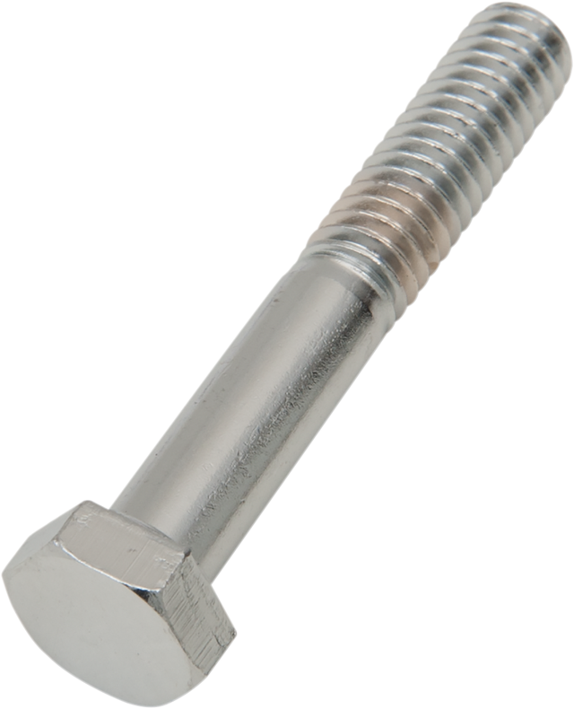 DRAG SPECIALTIES Bolts - Hex-Head - Chrome - 5/16"-18 x 2" MPB129 - Cycle City Outdoors