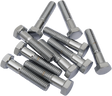 DRAG SPECIALTIES Bolts - Hex-Head - Chrome - 3/8"-16 x 1-3/4" MPB135 - Cycle City Outdoors