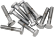 DRAG SPECIALTIES Bolts - Hex Head/Replacement - Fine Thread - 1/4"-28 x 1-1/4" - 10 Pack MPB141 - Cycle City Outdoors