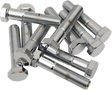 DRAG SPECIALTIES Bolts - Hex Head/Replacement - Fine Thread - 3/8"-24 x 1-1/2" - 10 Pack MPB158 - Cycle City Outdoors