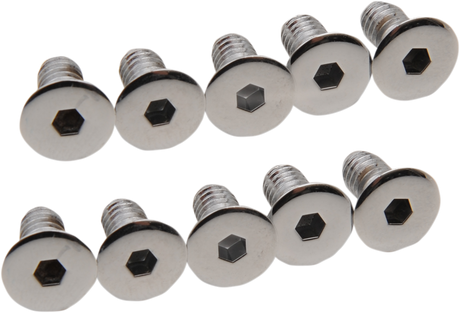 DRAG SPECIALTIES Cover Screws - Derby/Inspection MK157 - Cycle City Outdoors