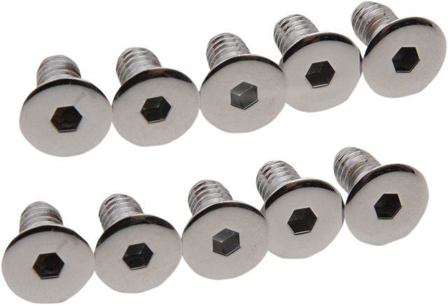 DRAG SPECIALTIES Cover Screws - Derby/Inspection MK157 - Cycle City Outdoors