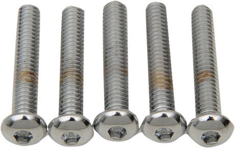 DRAG SPECIALTIES Bolts - Button Head/Replacement - 1/4"-20 x 1-1/4" - 5 Pack MPB821 - Cycle City Outdoors