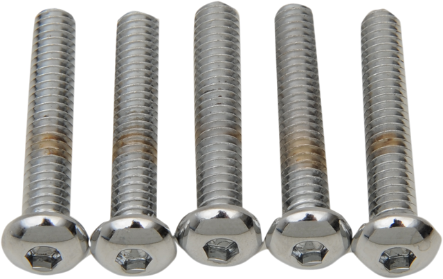 DRAG SPECIALTIES Bolts - Button Head/Replacement - 1/4"-20 x 1-1/4" - 5 Pack MPB821 - Cycle City Outdoors