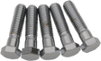 DRAG SPECIALTIES Bolts - Hex-Head - Chrome - 7/16"-14 x 1-3/4" MPB720 - Cycle City Outdoors