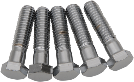 DRAG SPECIALTIES Bolts - Hex-Head - Chrome - 7/16"-14 x 1-3/4" MPB720 - Cycle City Outdoors