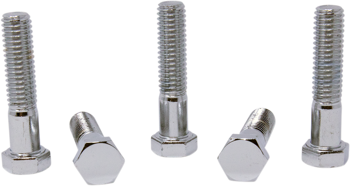 DRAG SPECIALTIES Bolts - Hex-Head - Chrome - 7/16"-14 x 2" MPB670 - Cycle City Outdoors