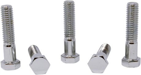 DRAG SPECIALTIES Bolts - Hex-Head - Chrome - 7/16"-14 x 2" MPB670 - Cycle City Outdoors