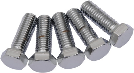 DRAG SPECIALTIES Bolts - Hex-Head - Chrome - 1/2"-13 x 1-1/2" MPB674 - Cycle City Outdoors