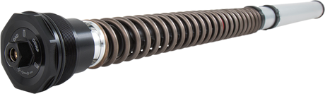 OHLINS Cartridge Kit - Front - 30 mm (FKS501) FKS 501
