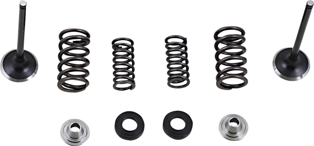 MOOSE RACING Exhaust Valve Kit M30-33690 - Cycle City Outdoors