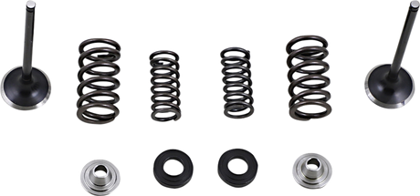 MOOSE RACING Exhaust Valve Kit M30-33690 - Cycle City Outdoors