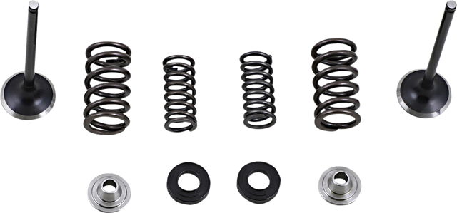 MOOSE RACING Exhaust Valve Kit M30-33690 - Cycle City Outdoors