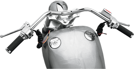DRAG SPECIALTIES Handlebar Controls w/ Switch - '72 - '81 42375-LBX2 - Cycle City Outdoors
