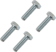 MOOSE RACING Rotor Bolts - Honda 039-6A07 - Cycle City Outdoors