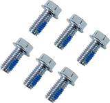MOOSE RACING Rotor Bolts - Honda/KTM/TM 039-6A06 - Cycle City Outdoors