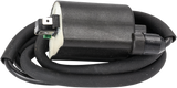 RICK'S MOTORSPORT ELECTRIC Ignition Coil - Honda/Kawasaki 23-104