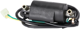 RICK'S MOTORSPORT ELECTRIC ignition Coil - Honda 23-107