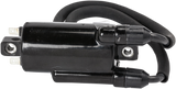 RICK'S MOTORSPORT ELECTRIC ignition Coil - Honda 23-108