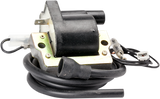 RICK'S MOTORSPORT ELECTRIC ignition Coil - Kawasaki 23-202