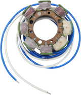 RICK'S MOTORSPORT ELECTRIC Stator - Kawasaki 21-719