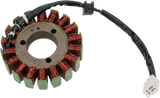 RICK'S MOTORSPORT ELECTRIC Stator - Suzuki 21-308