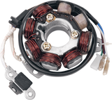 RICK'S MOTORSPORT ELECTRIC High-Output Stator - Honda 21-602H