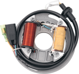 RICK'S MOTORSPORT ELECTRIC High-Output Stator - Kawasaki 21-705H