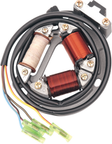RICK'S MOTORSPORT ELECTRIC High-Output Stator - Suzuki 21-802H