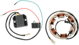 RICK'S MOTORSPORT ELECTRIC Charging Kit - Honda 99-101