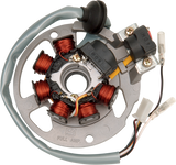 RICK'S MOTORSPORT ELECTRIC Stator 21-550