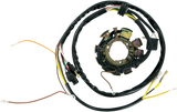 RICK'S MOTORSPORT ELECTRIC Stator 21-553