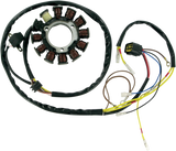 RICK'S MOTORSPORT ELECTRIC Stator 21-556