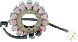 RICK'S MOTORSPORT ELECTRIC Stator - Kawasaki 21-232