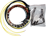 RICK'S MOTORSPORT ELECTRIC Stator - Honda 21-100